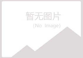 胶南山柳工程有限公司